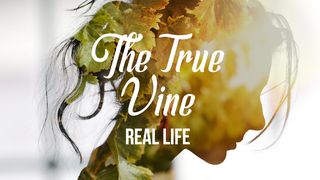 [Real Life] The True Vine John 1:9-14 New International Version