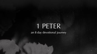 1 Peter 1 Peter 3:19-22 The Message