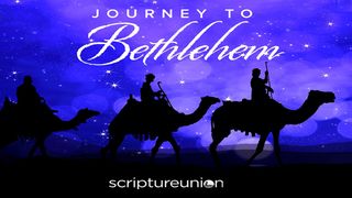 Journey To Bethlehem Isaiah 11:1-5 The Message