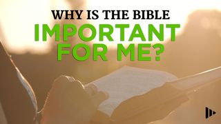 Why Is The Bible Important For Me? Devotions From Time Of Grace Isaiah 53:11-12 The Message