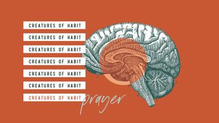 Creatures of Habit: Prayer  Luke 6:12-21 The Message