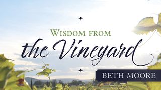 Wisdom from the Vineyard by Beth Moore Ecclesiastes 11:5 New Century Version