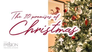 The 10 Promises of Christmas Hebrews 9:14 New International Version