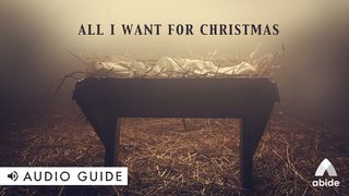 All I Want for Christmas Ecclesiastes 11:5 The Message