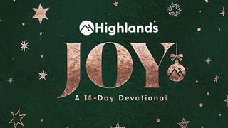 Joy - Experience Joy This Christmas Acts 20:32 King James Version