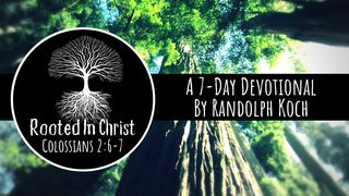 Rooted In Christ 1 Corinthians 8:6 New Living Translation