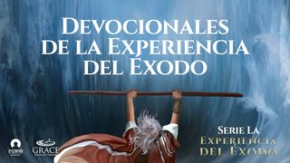 [Serie La Experiencia del Éxodo] Devocionales de La Experiencia del Éxodo Hebreos 11:17 Nueva Versión Internacional - Español