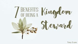 7 Benefits Of Being A Kingdom Steward Luke 12:16-19 The Message