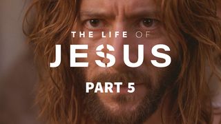 The Life of Jesus, part 5 (5/10) John 8:49-51 The Message
