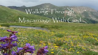 Walking Through Miscarriage With God Psalms 142:3 New Living Translation