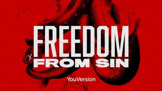 Freedom From Sin Matthew 7:3-5 New Living Translation