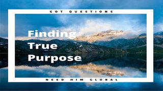Finding True Purpose Matthew 17:19-20 New King James Version
