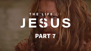The Life of Jesus, Part 7 (7/10) John 13:12-17 The Message