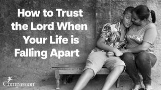 How to Trust the Lord When Your Life Falls Apart  Salmos 51:5 Nueva Traducción Viviente