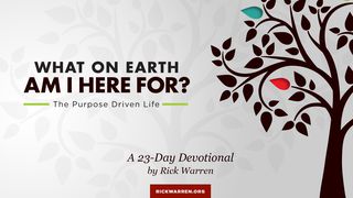 Live Your Calling: What On Earth Am I Here For Romans 9:21 New Living Translation