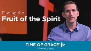 Finding The Fruit Of The Spirit Titus 2:11-12 Amplified Bible