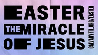 The Miracle of Easter 1 Corinthians 11:23-26 The Message