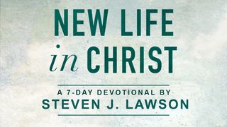 New Life In Christ John 19:39-40 New King James Version