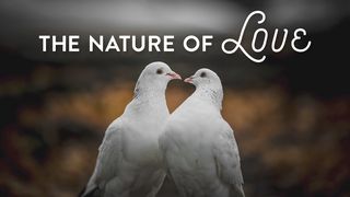 The Nature of Love Psalms 91:1-6, 14-16 New International Version