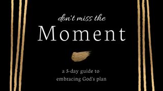 Don't Miss the Moment: A 5 Day Guide to Embracing God's Plan Psalms 90:12-17 The Message