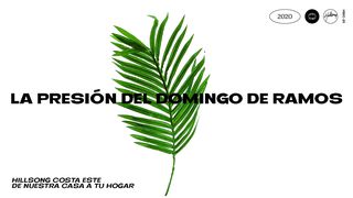 La Presión del Domingo de Ramos Lucas 19:28-44 Nueva Versión Internacional - Español