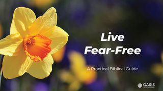 Live Fear-Free: A Practical Biblical Guide Luke 12:22-24 The Message