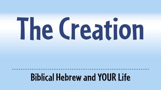 Three Words From The Creation Genesis 1:1-5 The Message