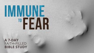 Immune to Fear  Week 4 2 Timothy 1:12 Amplified Bible