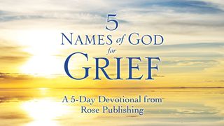 5 Names of God to Know When Struggling with Grief Psalms 3:3 New American Standard Bible - NASB 1995