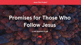 Promises for Those Who Follow Jesus John 6:40 New American Standard Bible - NASB 1995