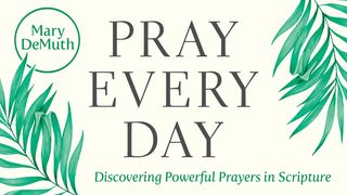 Pray Every Day Psalms 51:13 New International Version