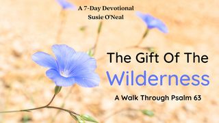 The Gift of the Wilderness Deuteronomy 4:29-31 New Century Version
