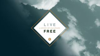 Live Free: A Study of Galatians  Galatians 4:18-20 The Message