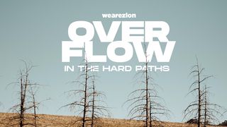 Overflow In The Hard Paths  Genesis 41:33-36 The Message
