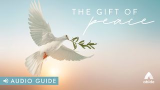 The Gift of Peace Genesis 33:4 New Living Translation