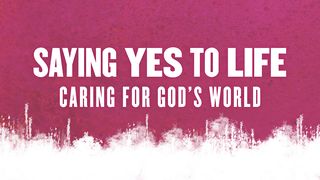 Saying Yes To Life Job 38:6-7 English Standard Version 2016