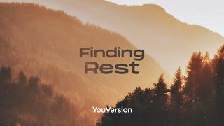 Finding Rest Genesis 2:2-4 The Message