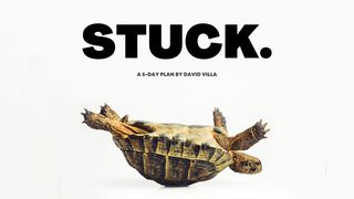 Stuck Job 11:18 Amplified Bible