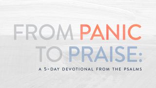 From Panic to Praise: A 5-Day Devotional From the Psalms Psalms 94:16-19 The Message