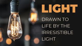 LIGHT - Drawn to Life by the Irresistible Light John 3:7-8 The Message