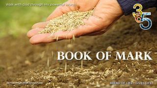 Book of Mark Mark 9:24 The Message