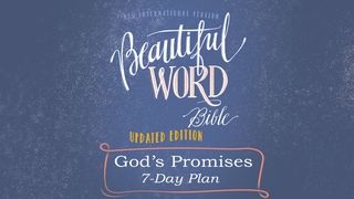 Beautiful Word: God's Promises Psalms 4:7-8 The Message