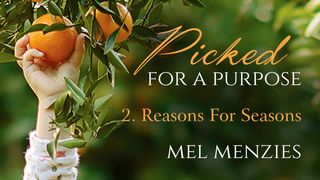 Picked For A Purpose Two: Reasons For Seasons Isaiah 43:2-3 New Living Translation