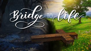 Bridge to Life Revelation 3:14-20 New Living Translation