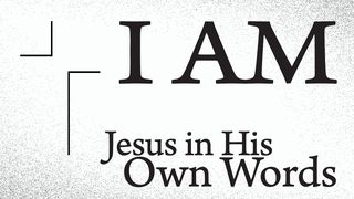 I AM: Jesus in His Own Words John 6:43-46 The Message