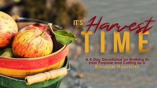 It's Harvest Time Matthew 9:35-38 The Message