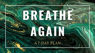 Breathe Again: A 7-Day Plan Matthew 12:34-35 New International Version