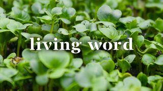 Living Word Luke 8:12 English Standard Version 2016