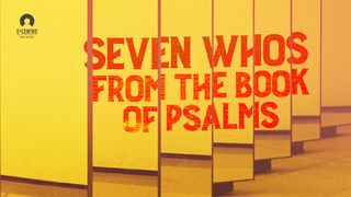 Seven Whos From the Book of Psalms Psalms 8:3 Amplified Bible