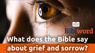 What Does The Bible Say About Grief And Sorrow? 2 Corinthians 7:9-11 New American Standard Bible - NASB 1995